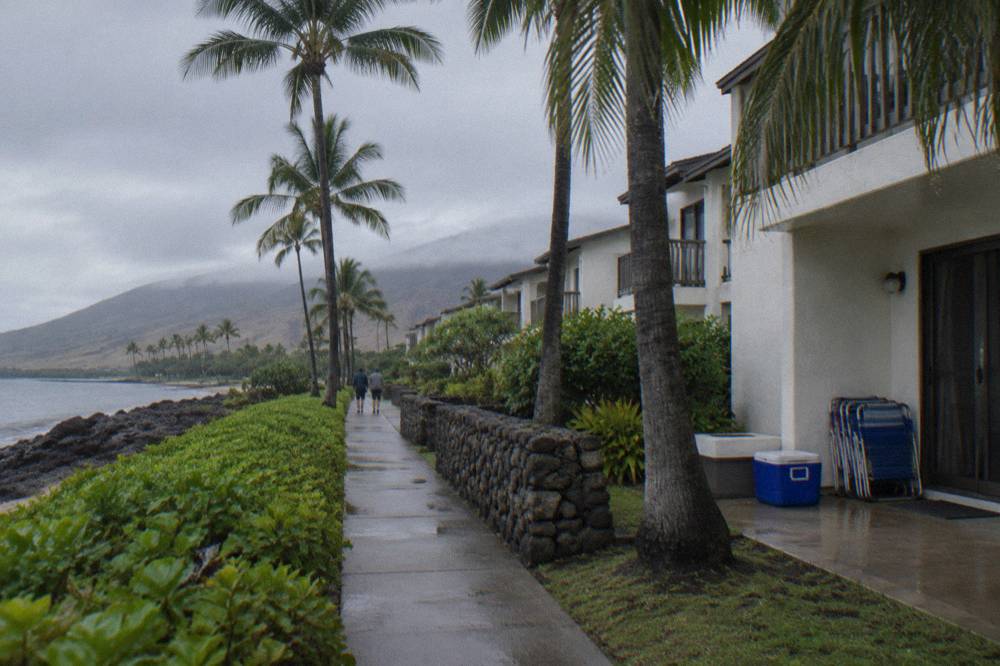 Quiet resort street in South Maui with palm-lined sidewalks in early morning light